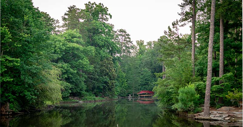 Duke Garden