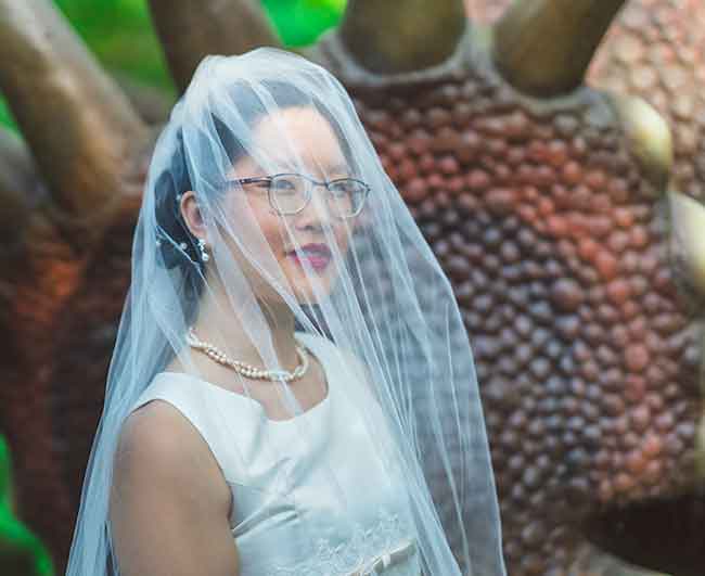 Bride through the veil